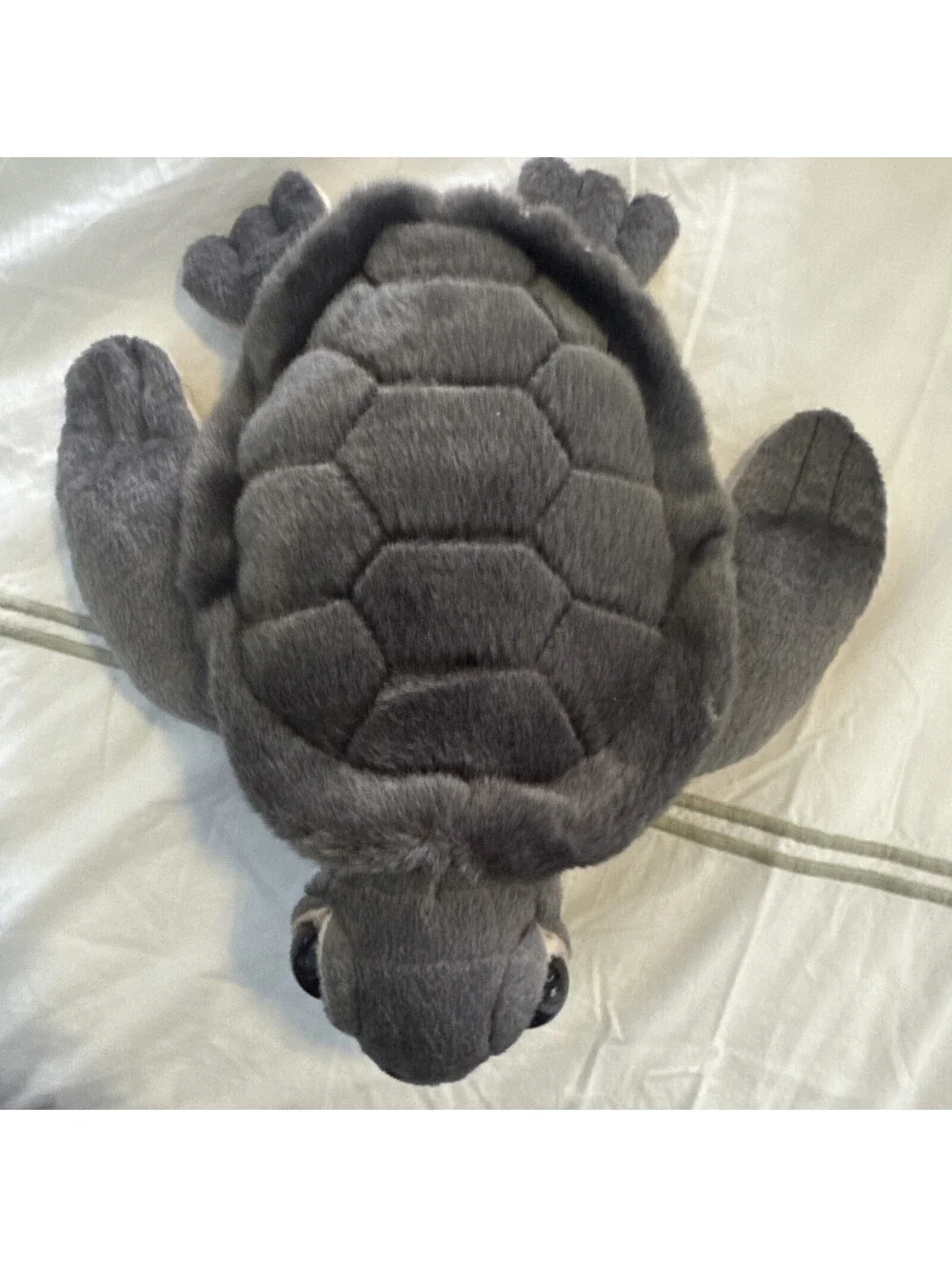 aurora turtle plush With Tags